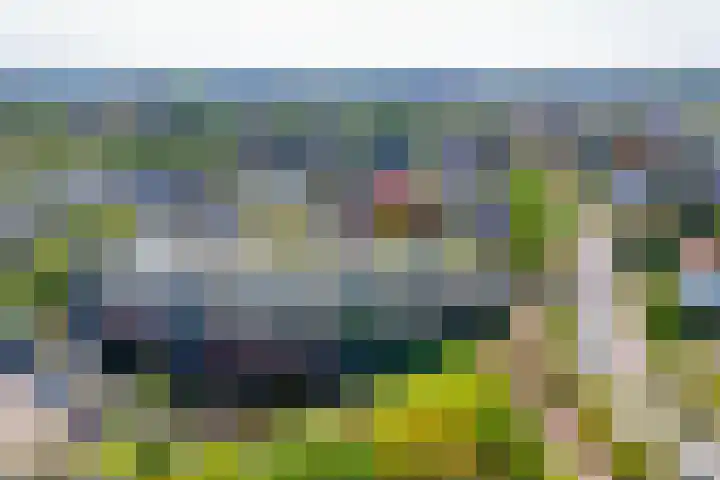 Veldhuyzen van Zantenpark 5 Lisse thumbnail 41