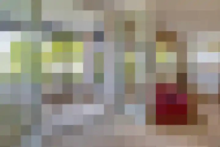 Veldhuyzen van Zantenpark 5 Lisse thumbnail 8