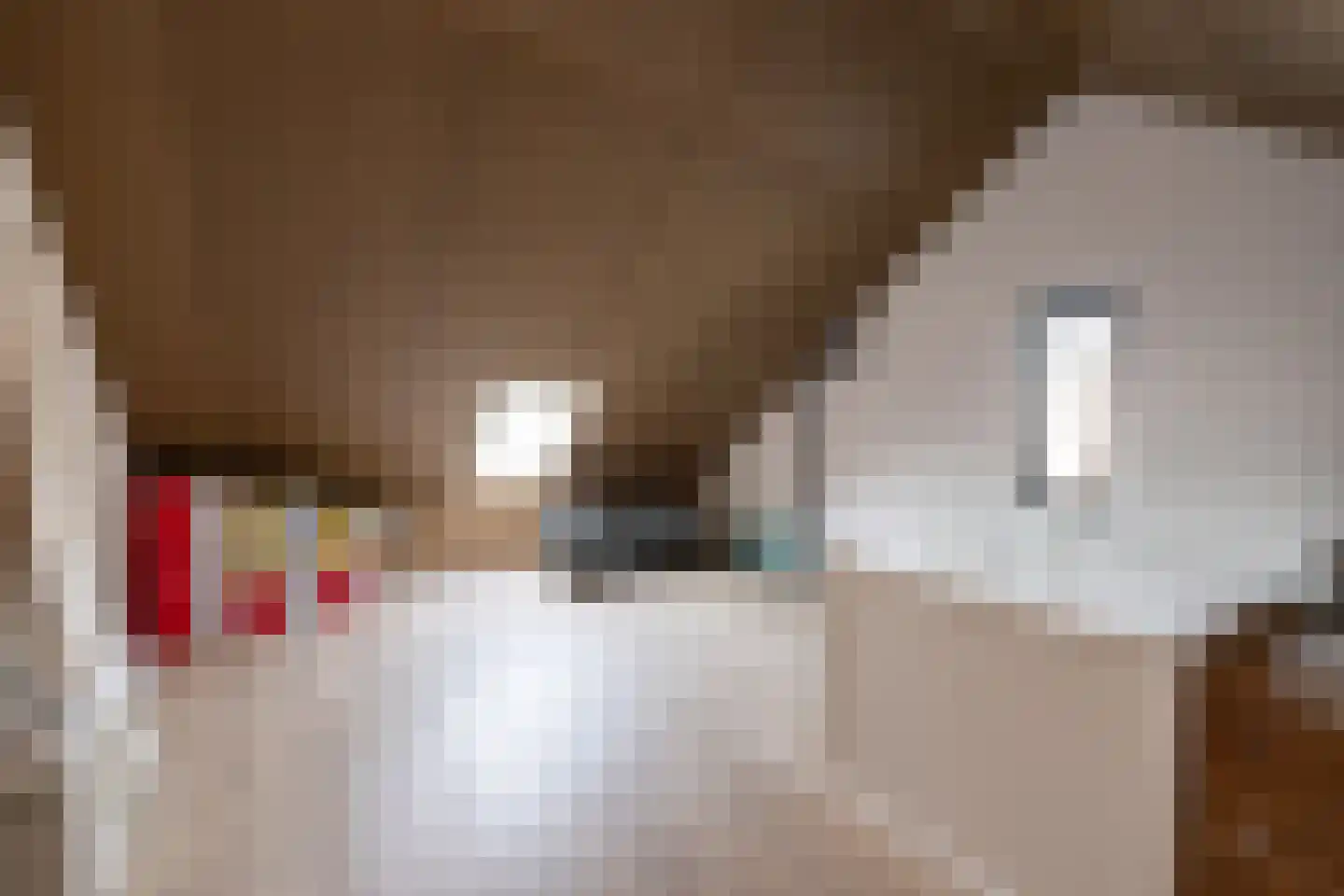 Veldinkstraat 12 Zwolle thumbnail 25