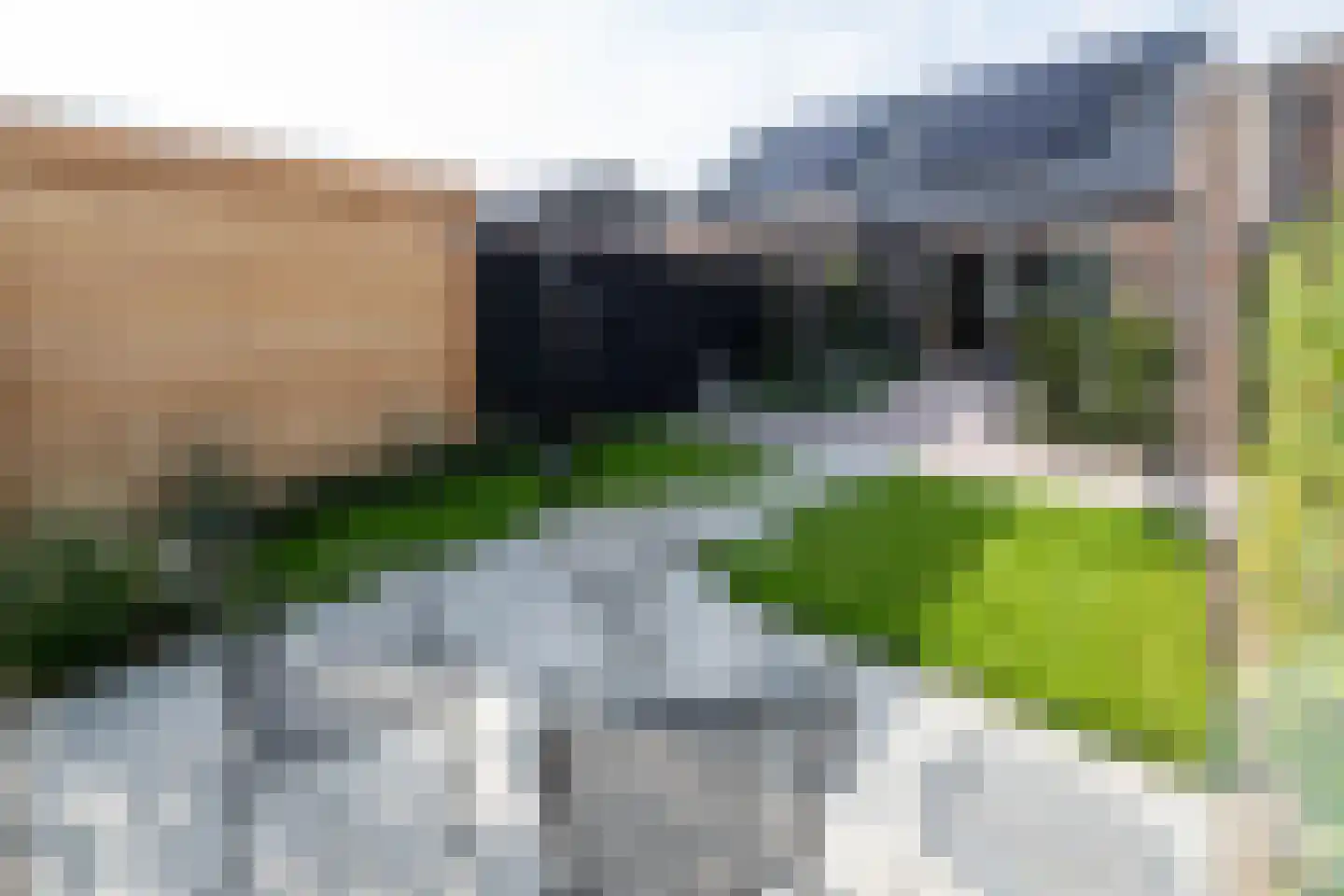 Veldinkstraat 12 Zwolle thumbnail 31