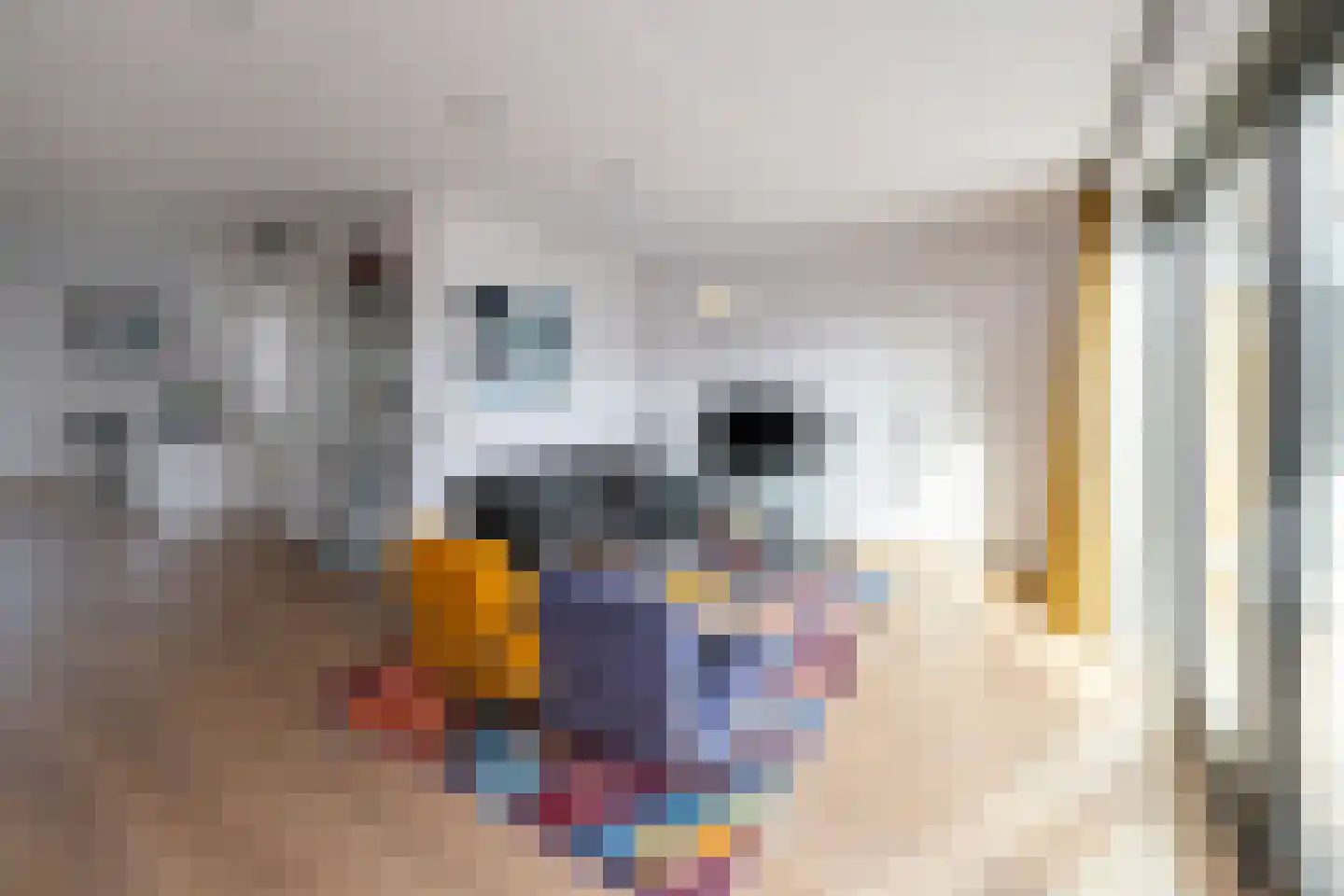 Veldinkstraat 12 Zwolle thumbnail 6