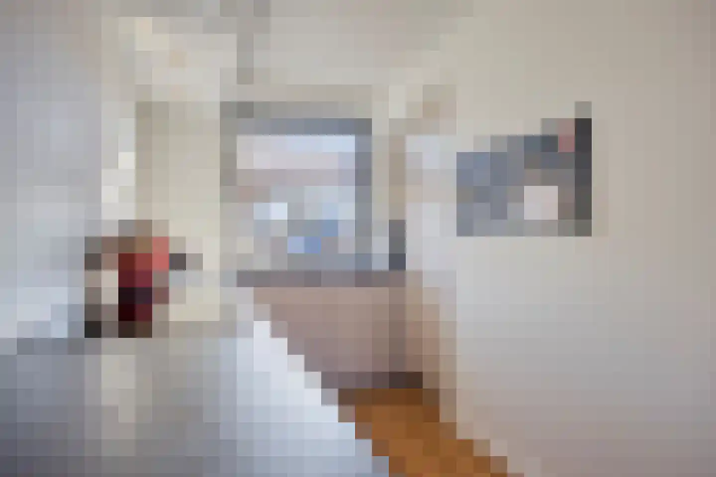 Veldje 31 Eijsden thumbnail 17