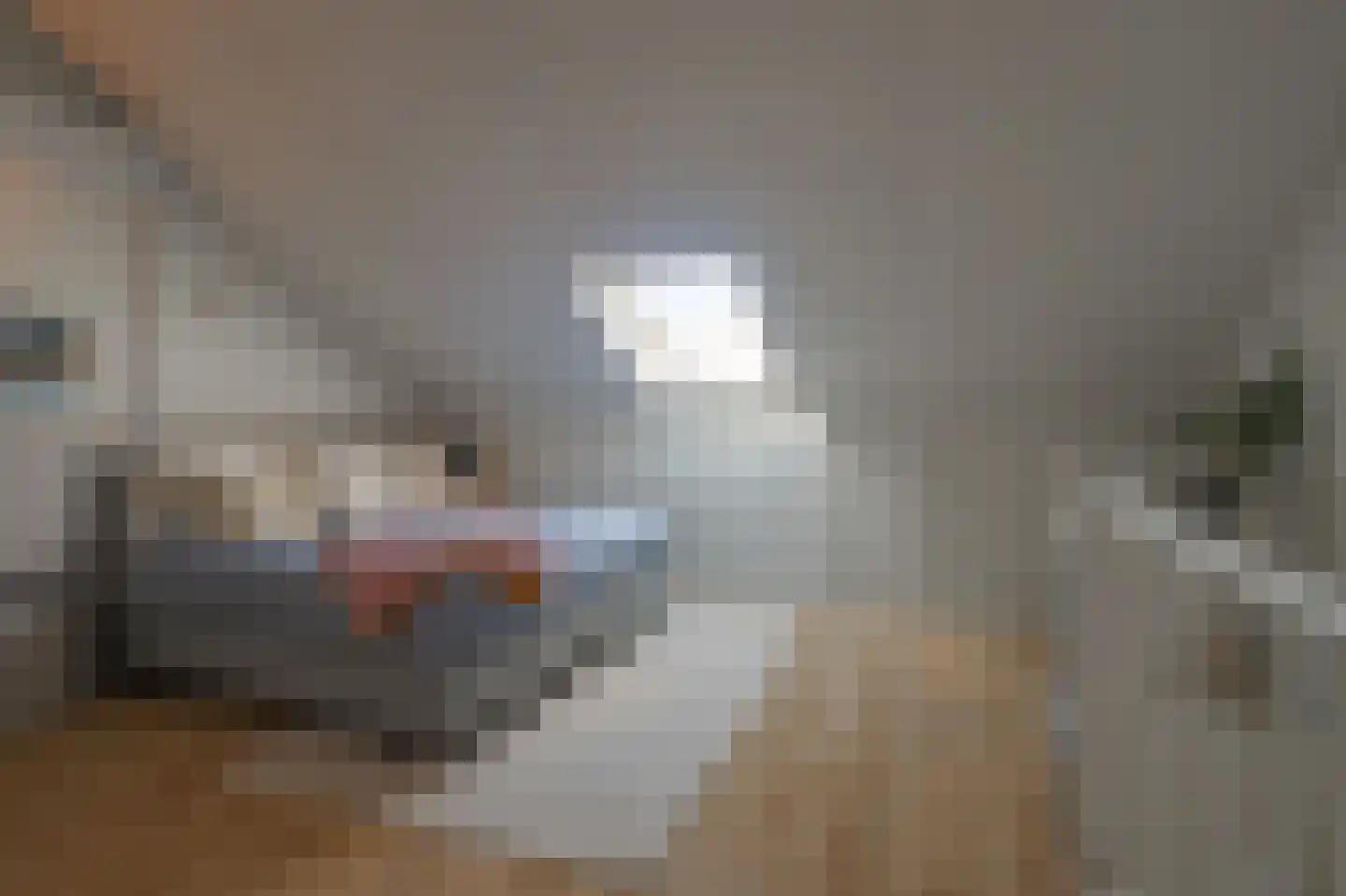 Veldje 38 Eijsden thumbnail 4