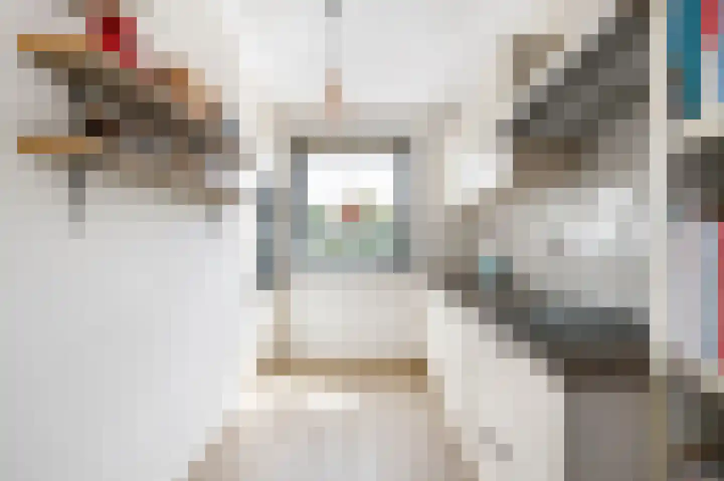 Veldje 38 Eijsden thumbnail 6