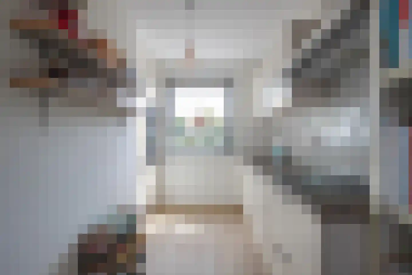 Veldje 38 Eijsden thumbnail 6