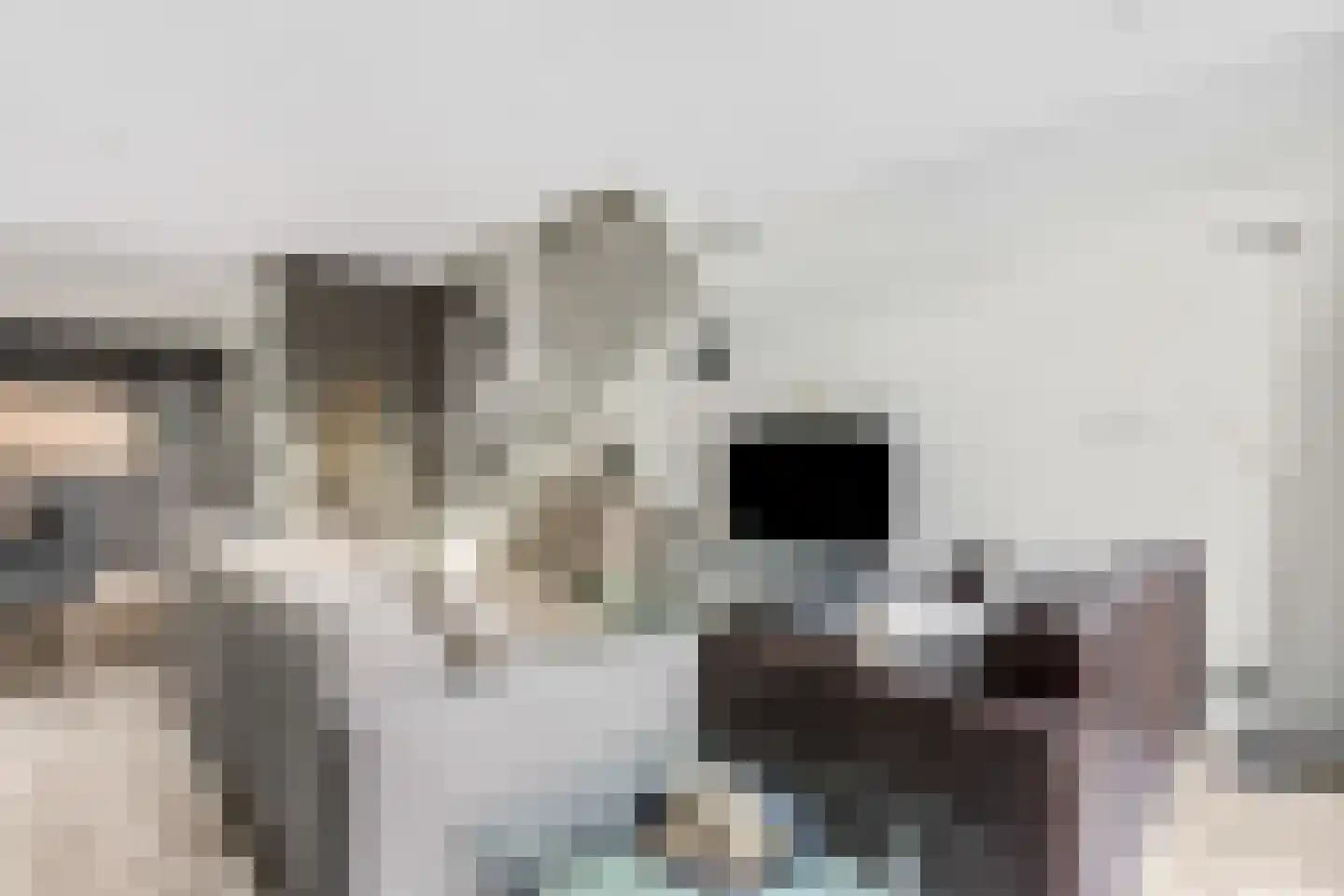 Veldjesgraaf 1 Veenendaal thumbnail 10