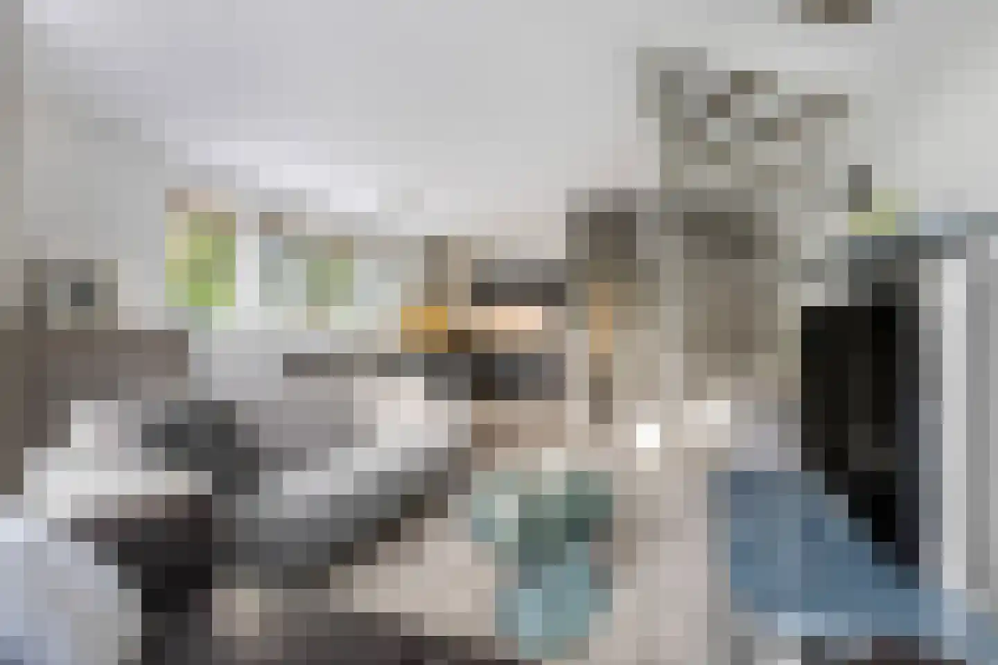 Veldjesgraaf 1 Veenendaal thumbnail 10