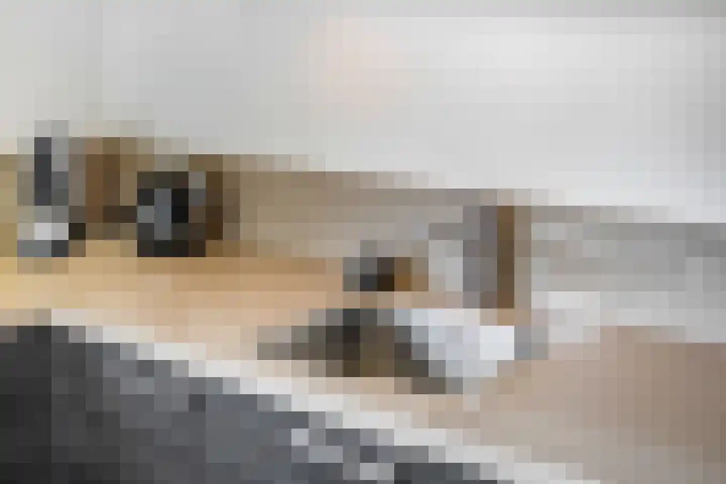 Veldjesgraaf 1 Veenendaal thumbnail 12