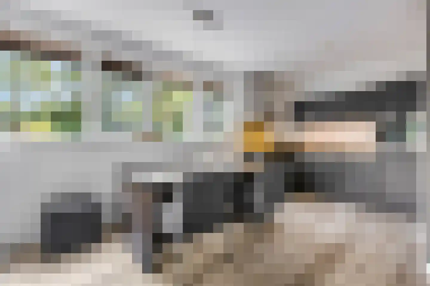 Veldjesgraaf 1 Veenendaal thumbnail 12