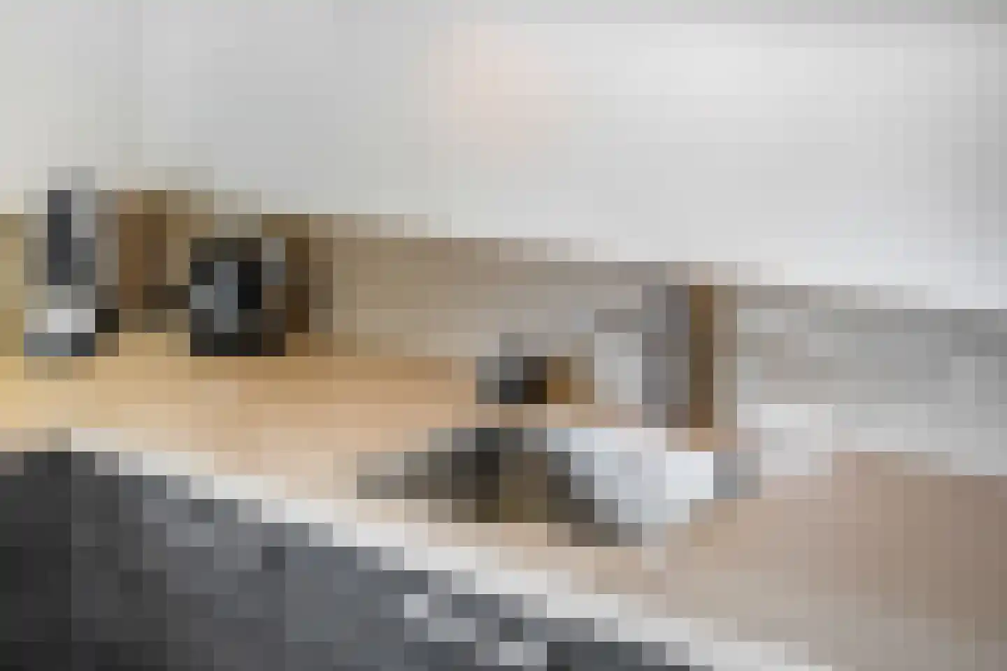 Veldjesgraaf 1 Veenendaal thumbnail 13