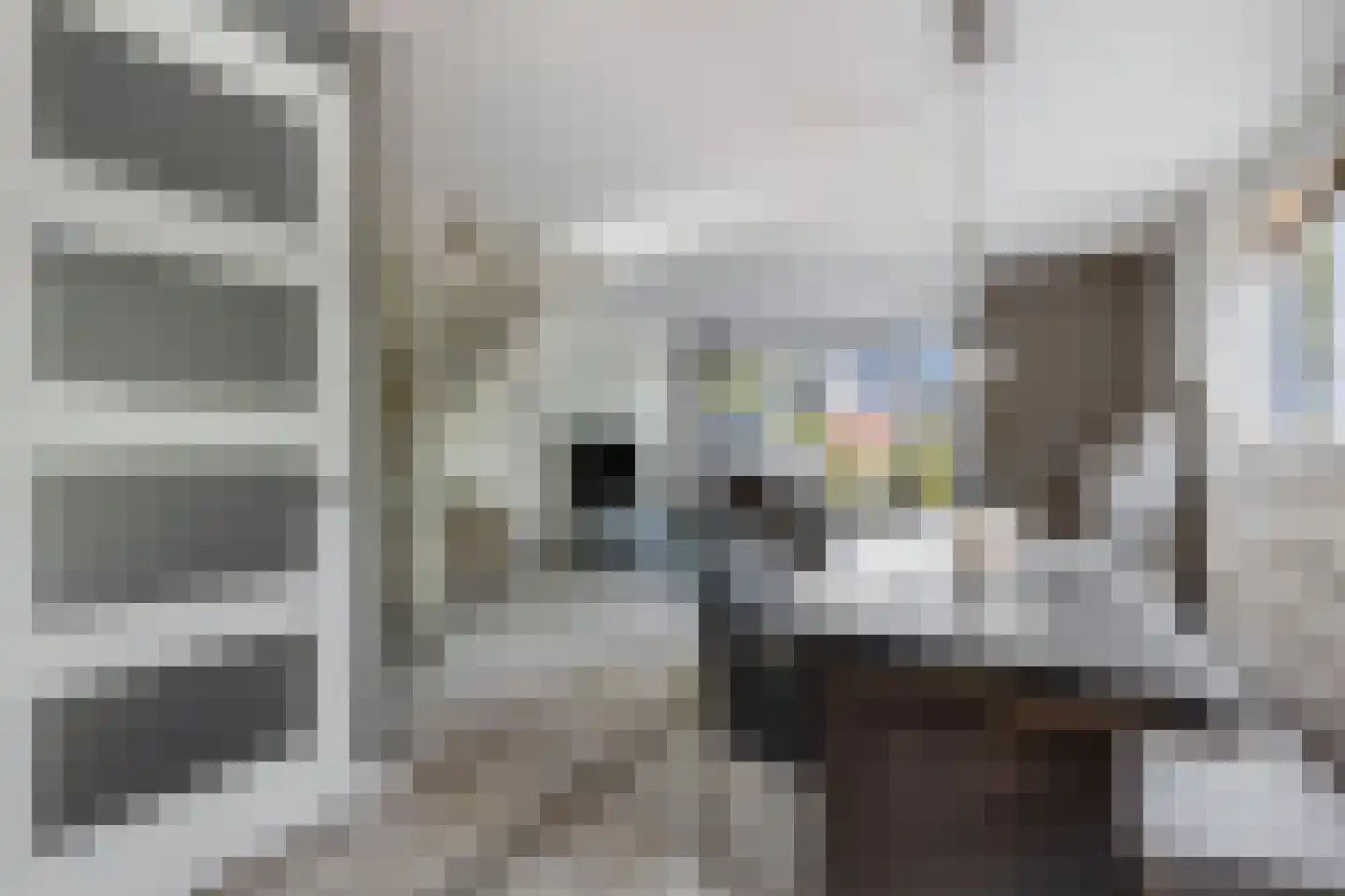 Veldjesgraaf 1 Veenendaal thumbnail 15