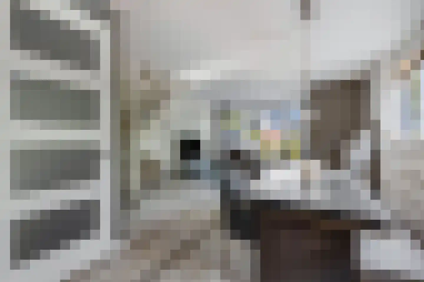 Veldjesgraaf 1 Veenendaal thumbnail 16