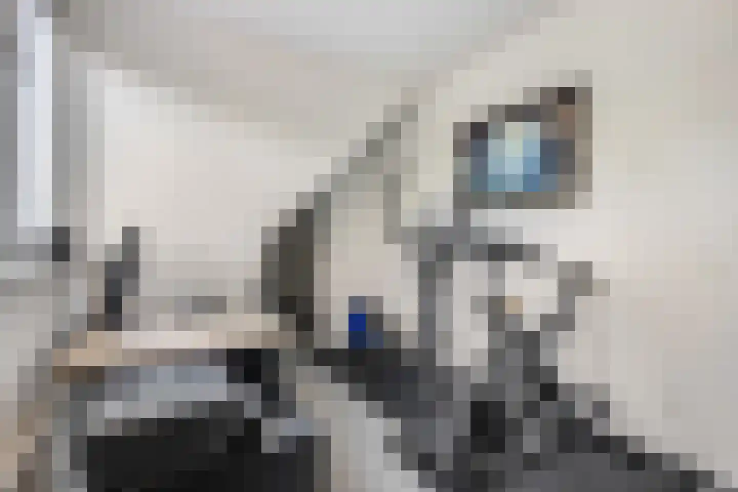 Veldjesgraaf 1 Veenendaal thumbnail 24