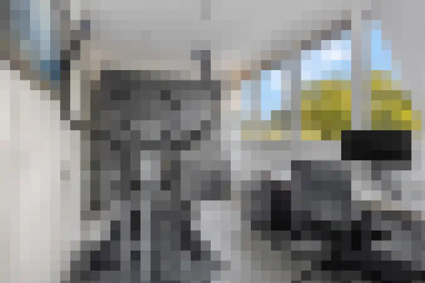 Veldjesgraaf 1 Veenendaal thumbnail 26