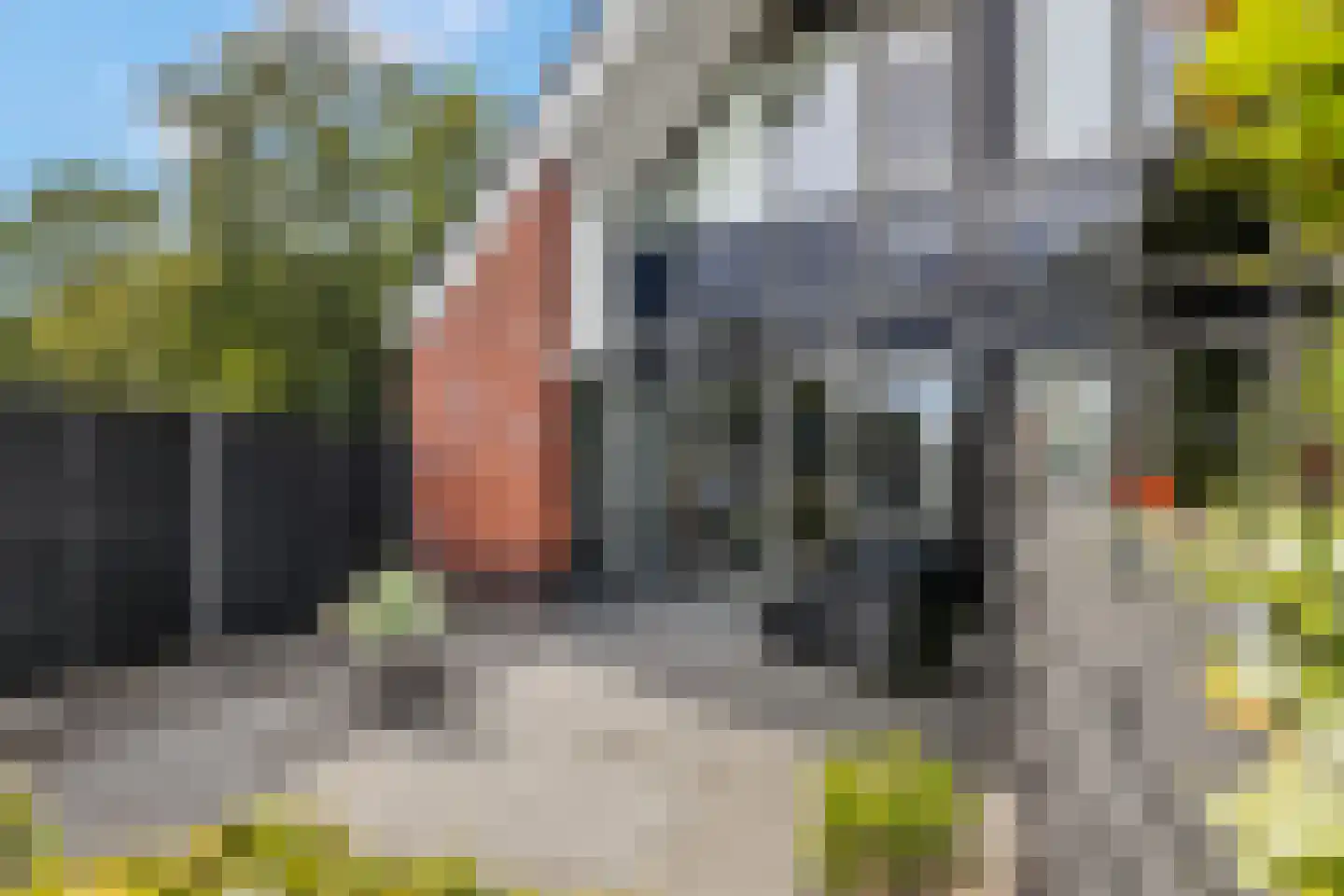 Veldjesgraaf 1 Veenendaal thumbnail 31