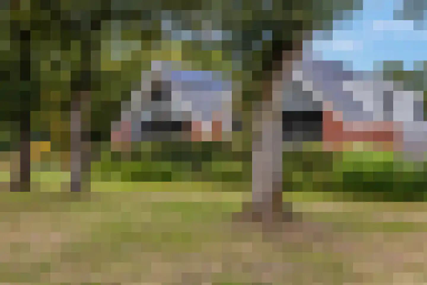 Veldjesgraaf 1 Veenendaal thumbnail 6