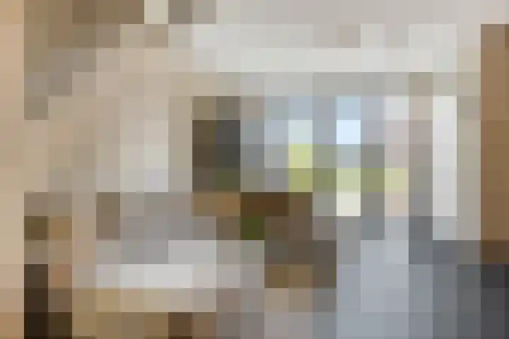 Veldjesgraaf 17 Veenendaal thumbnail 11