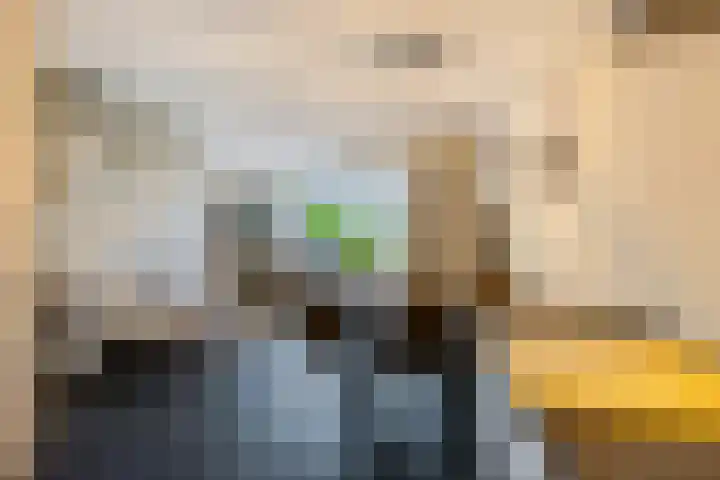 Veldjesgraaf 17 Veenendaal thumbnail 12
