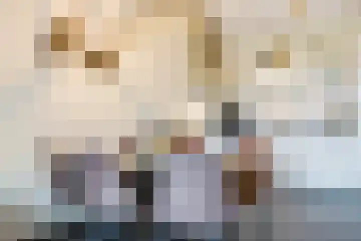 Veldjesgraaf 17 Veenendaal thumbnail 13