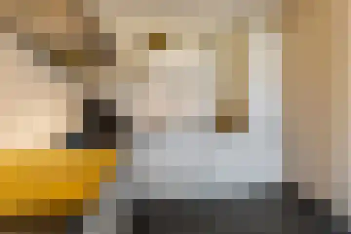 Veldjesgraaf 17 Veenendaal thumbnail 14