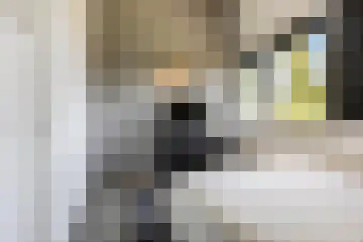 Veldjesgraaf 17 Veenendaal thumbnail 15