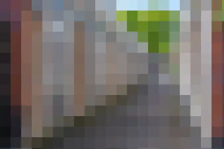 Veldjesgraaf 17 Veenendaal thumbnail 24