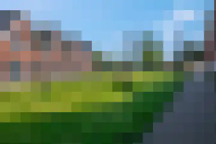 Veldjesgraaf 17 Veenendaal thumbnail 27
