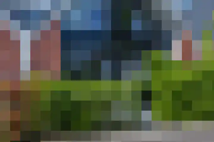 Veldjesgraaf 17 Veenendaal thumbnail 28