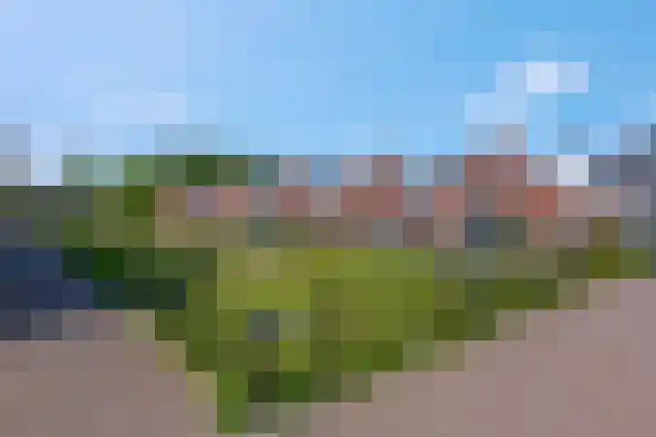 Veldjesgraaf 17 Veenendaal thumbnail 29