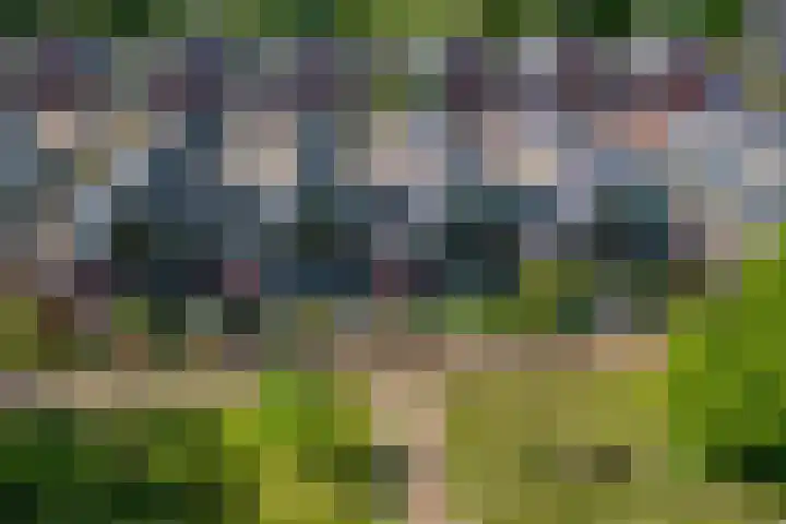 Veldjesgraaf 17 Veenendaal thumbnail 31