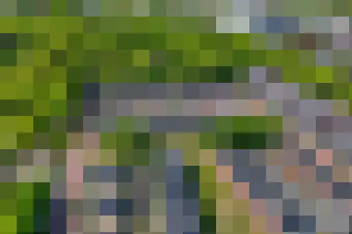 Veldjesgraaf 17 Veenendaal thumbnail 32
