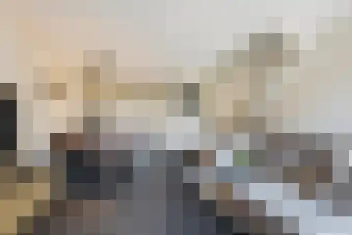 Veldjesgraaf 17 Veenendaal thumbnail 9