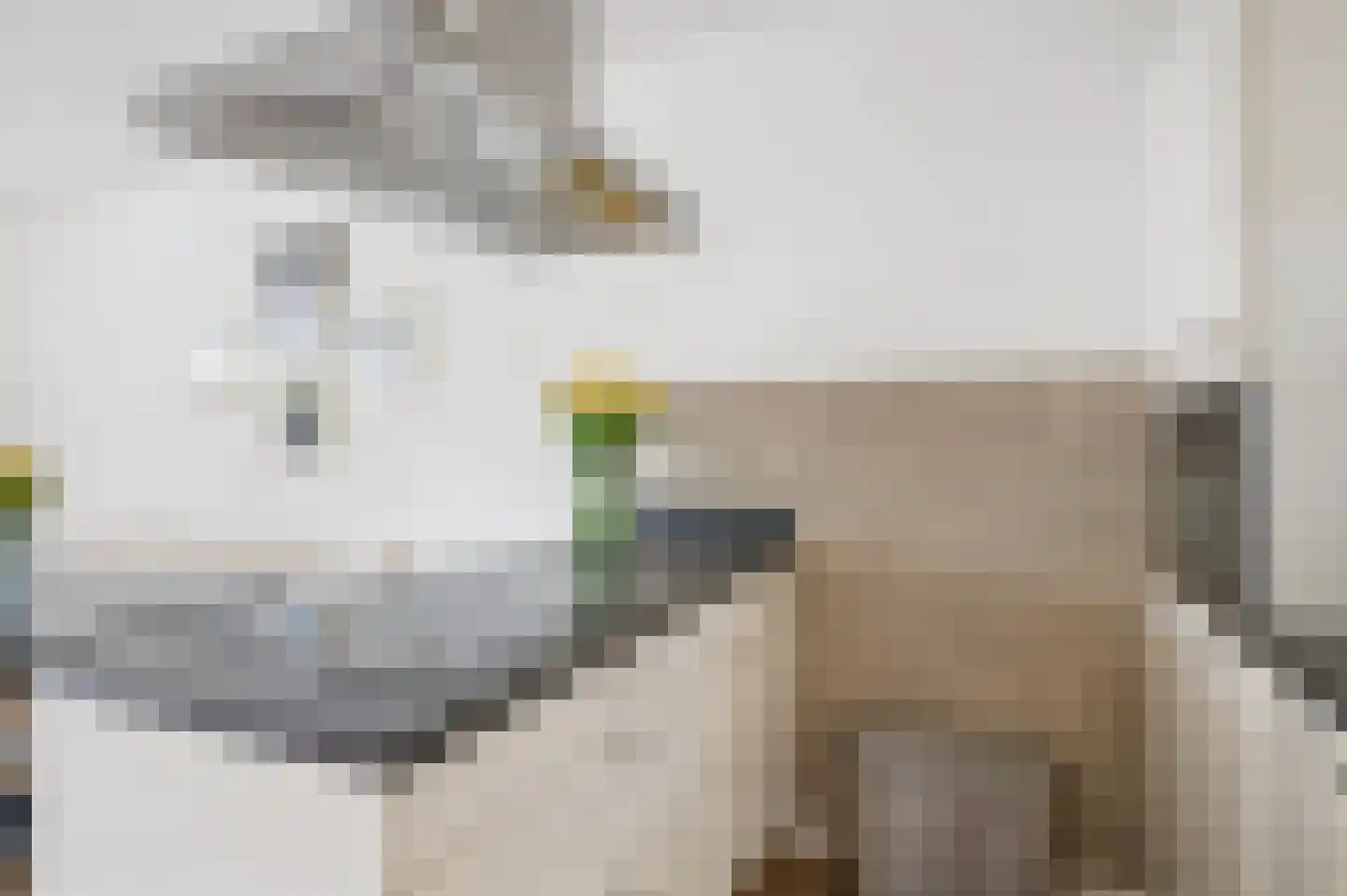 Veldjesgraaf 21 Veenendaal thumbnail 15