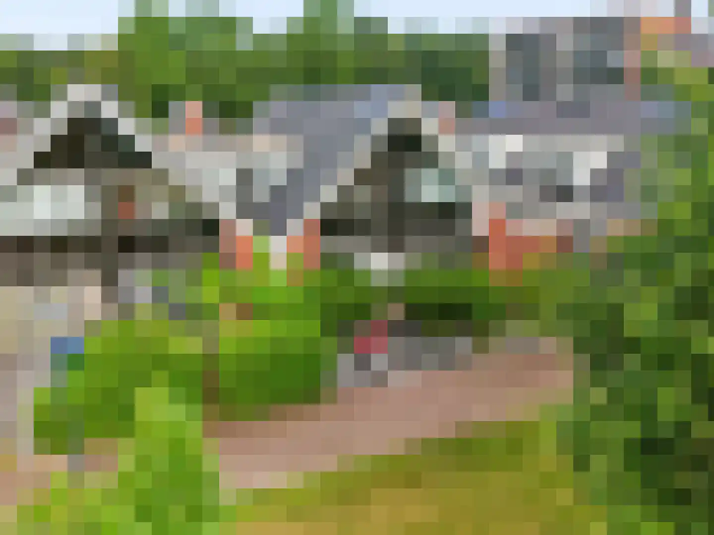 Veldjesgraaf 21 Veenendaal thumbnail 6