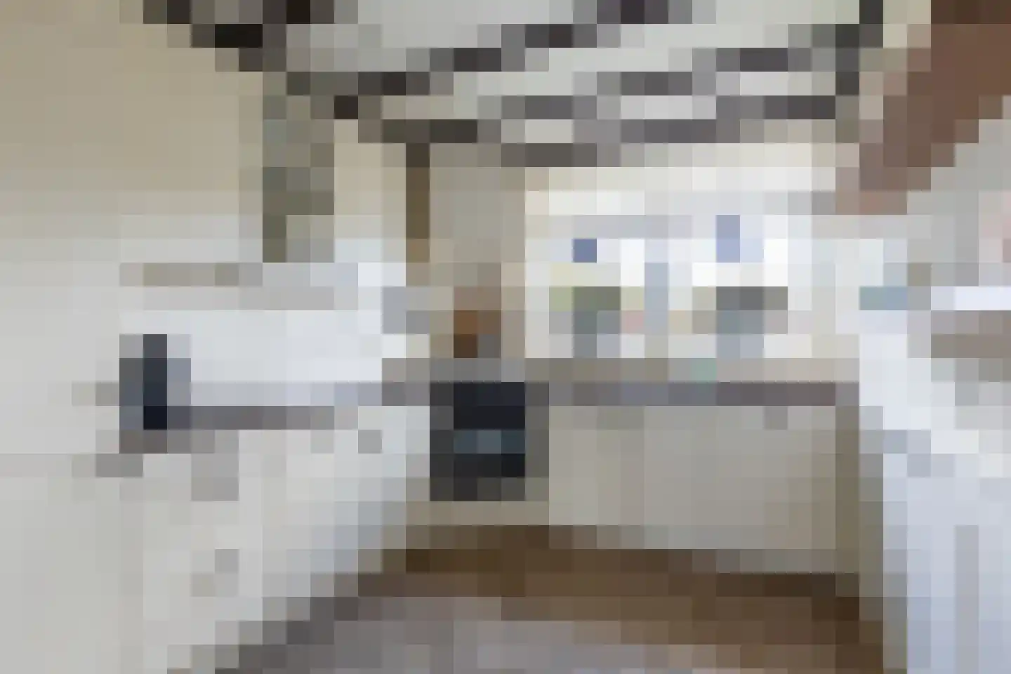 Veldjeshof 13 Ederveen thumbnail 10