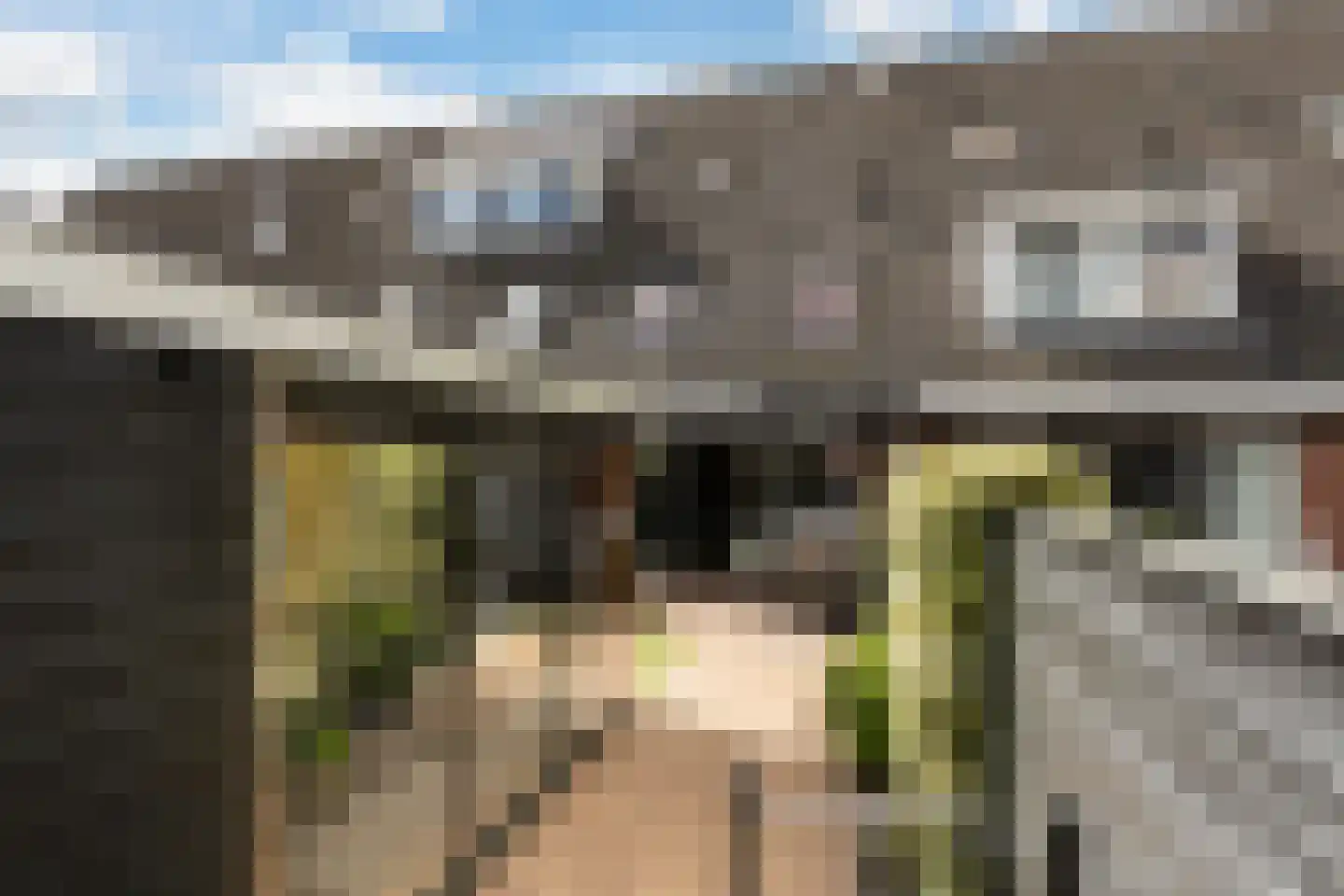 Veldjeshof 13 Ederveen thumbnail 27