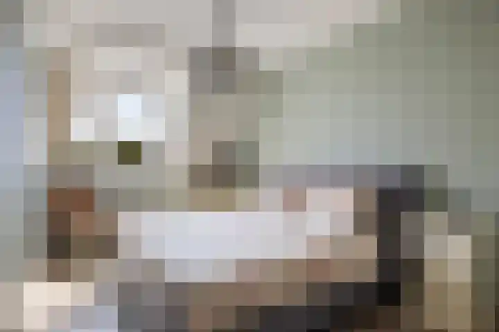 Veldjeshof 14 Ederveen thumbnail 15