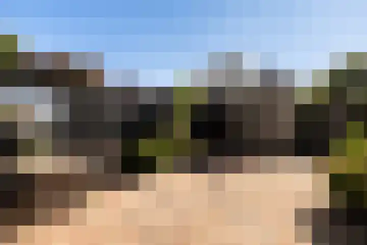 Veldjeshof 14 Ederveen thumbnail 26