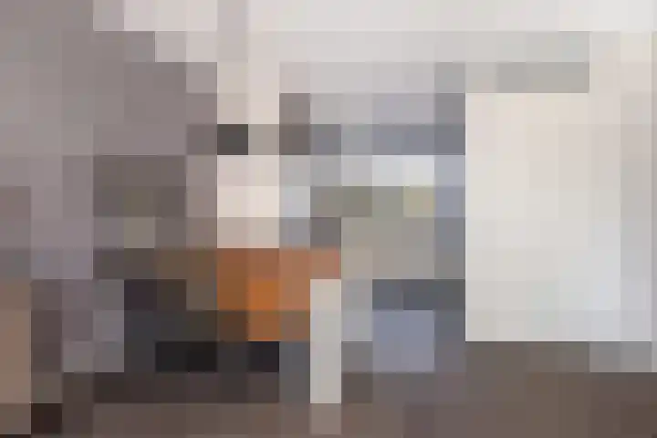 Veldjeshof 14 Ederveen thumbnail 5