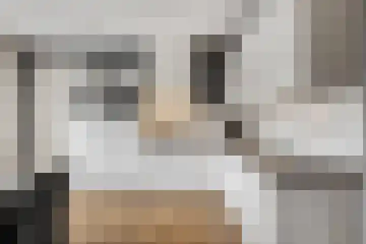 Veldjeshof 9 Ederveen thumbnail 11