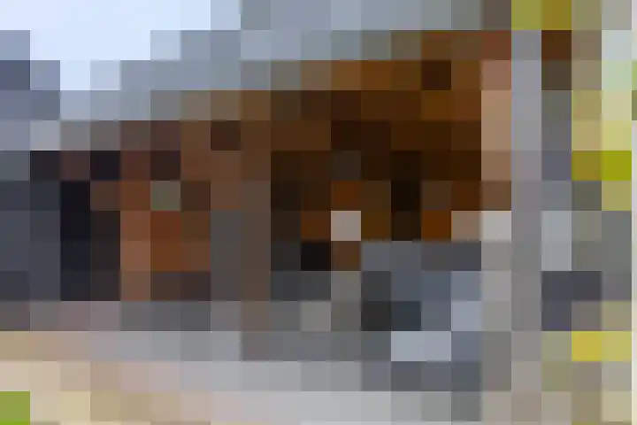 Veldjeshof 9 Ederveen thumbnail 36