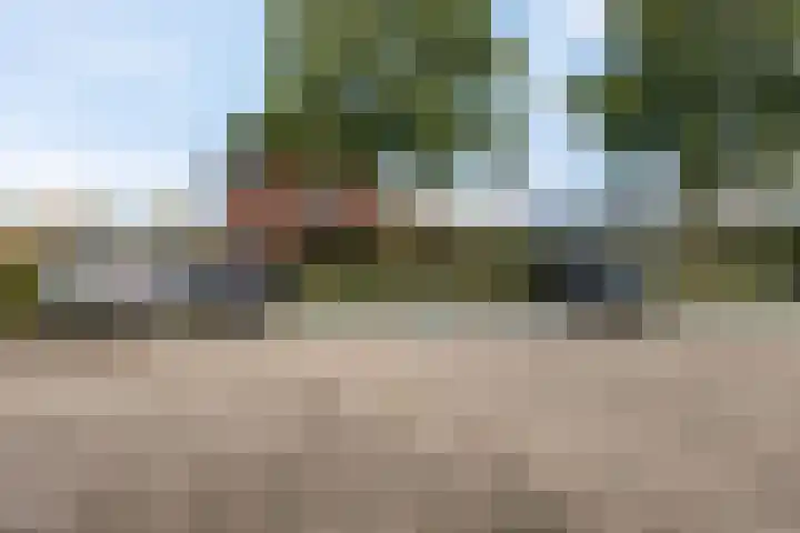 Veldjeshof 9 Ederveen thumbnail 38