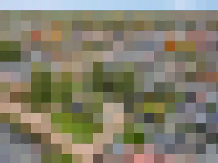 Veldjeshof 9 Ederveen thumbnail 39