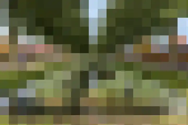 Veldjeshof 9 Ederveen thumbnail 41