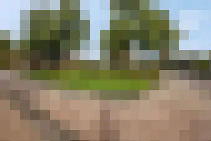 Veldjeshof 9 Ederveen thumbnail 42