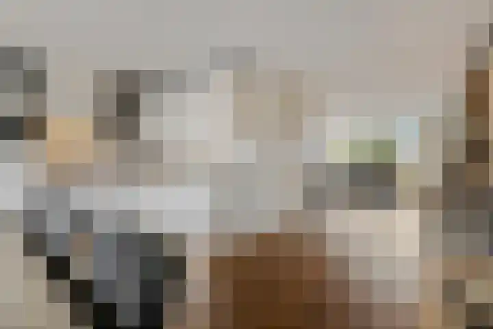 Veldjeshof 9 Ederveen thumbnail 8