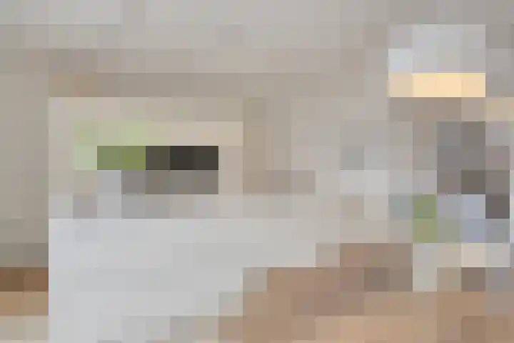 Veldjesstraat 4 Eijsden thumbnail 16