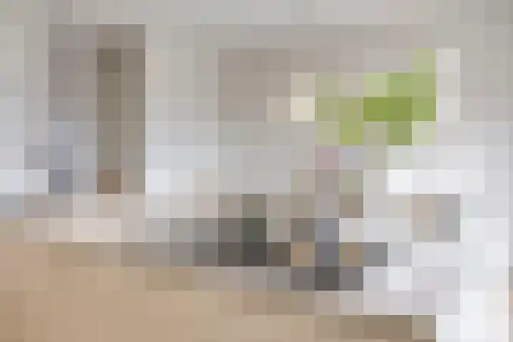 Veldjesstraat 4 Eijsden thumbnail 17