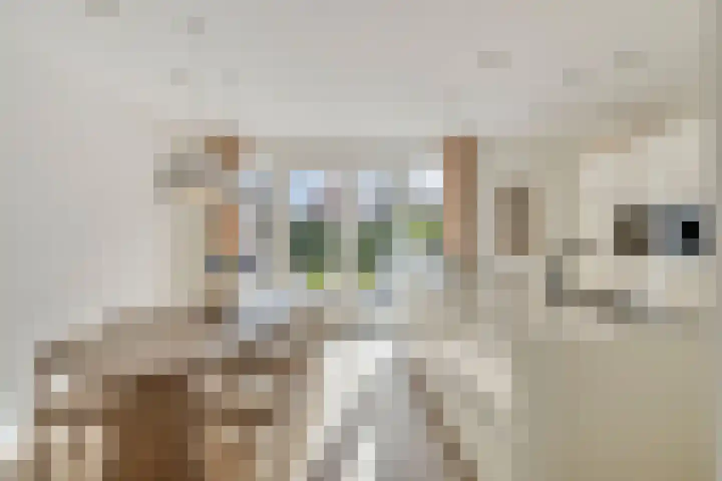 Veldjesstraat 4 Eijsden thumbnail 21