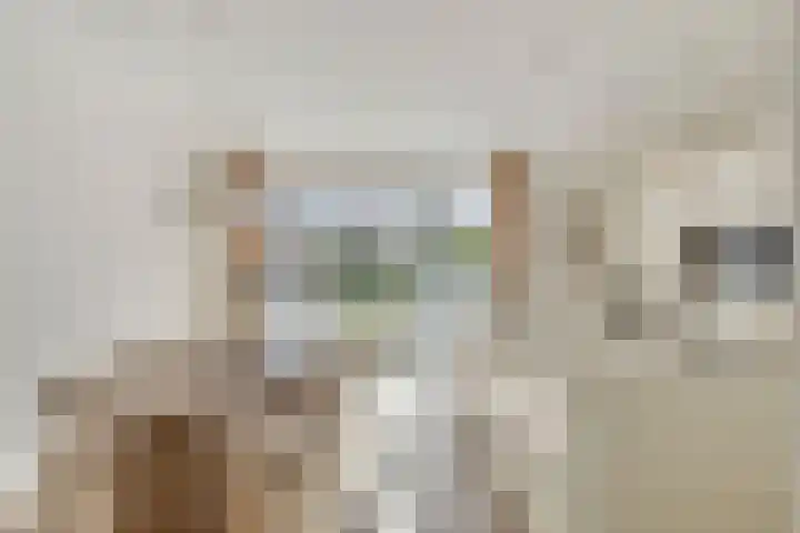 Veldjesstraat 4 Eijsden thumbnail 21